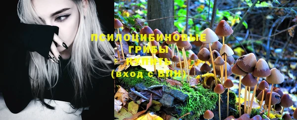 ГАЛЛЮЦИНОГЕННЫЕ ГРИБЫ Верхнеуральск