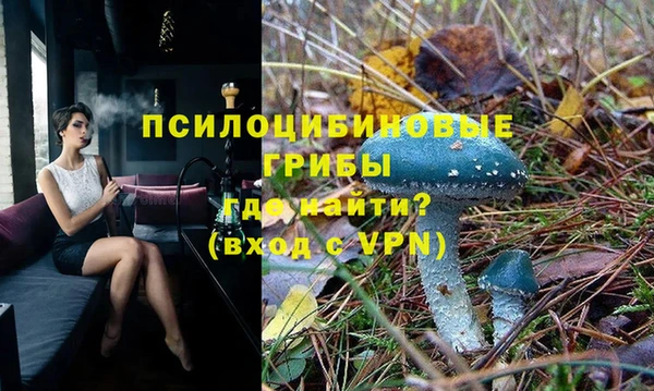 ГАЛЛЮЦИНОГЕННЫЕ ГРИБЫ Верхнеуральск