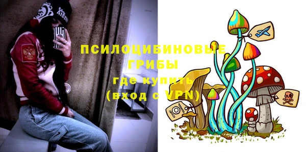 ГАЛЛЮЦИНОГЕННЫЕ ГРИБЫ Верхнеуральск
