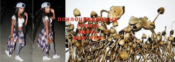мдпв Бронницы