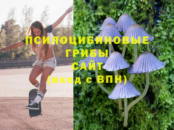 мдпв Бронницы