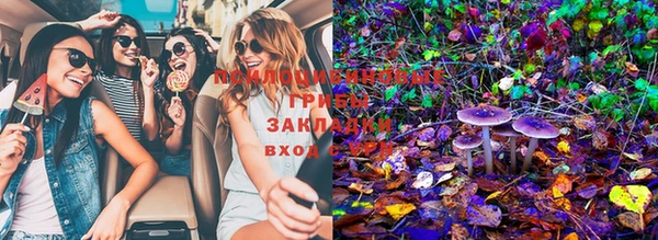 ГАЛЛЮЦИНОГЕННЫЕ ГРИБЫ Верхнеуральск